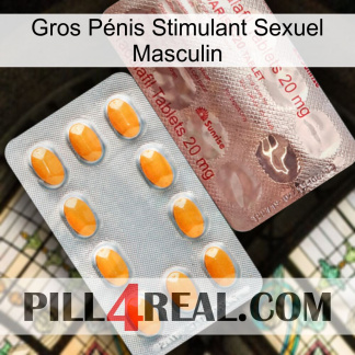 Gros Pénis Stimulant Sexuel Masculin new13